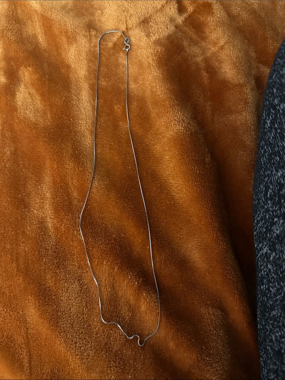 Delicate Silver Snake Chain Necklace